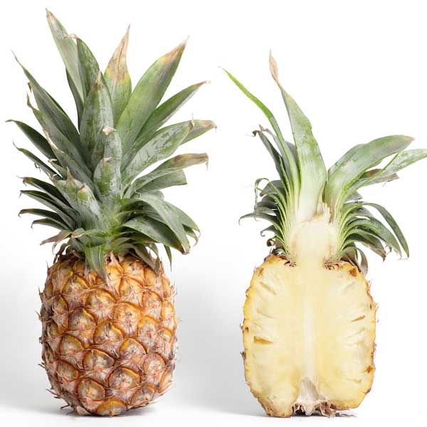 Queen Pineapple Queen Pineapple